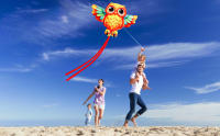 Nuevo Volo De Águila Juguete De Playa Para Niños Con Manija Y Cuerda Deportes Al Aire Libre Divertidos Y Seguros - details 2