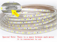 Tira LED Flexible RGB 5050 220V Luz Exterior Impermeable IP67 60leds/m Con Enchufe 5M/10M/15M Para Decoración De Hogar Y Jardín - details 12
