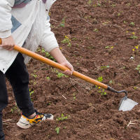 Aguja De Jardín Herramientas Agrícolas Triangle Plowing Rake Hoja De Acero Manganeso Para Terrenos Domésticos Y Jardinería - details 1