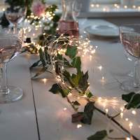 Luces LED De 100 Leds Para Jardín Guirnalda De 2m Con Cinco Ramas Decoración De Navidad Para Casa Y Exterior Luz De Cascada Para Bodas Y Habitaciones - details 3