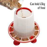 Albóndiga Automática Para Ponedero 1.5kg/3L Bebedero Automático Para Pollo Ponedero De Agua Para Ponederos Coop De Pollo Alimentador De Ponedero - details 10