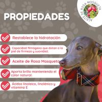 Armi Champú Perro Galgo Español 225ml - Champú Perros Hidratación y Nutrición - Champú Perro - Champú Para Perros Pelo Corto y Poco Denso- 225 ml - - details 2