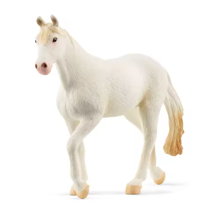 Schleich Yegua Camarillo Blanco Puro Edición Limitada - Elegante Paso - 1