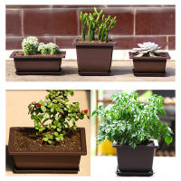Maceta De Plástico Para Flor Square Bonsái Juego De Macetas De Balcón Basin De Jardinería 1PC - details 5