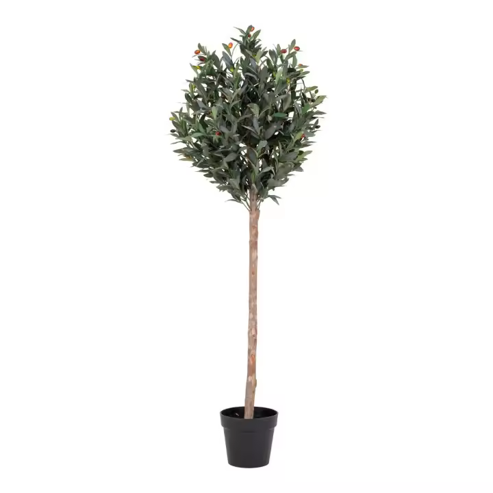 Planta de Oliva Artificial, Polietileno, Verde, 58x58x150 cm - 1