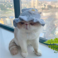 Gorro De Perro Y Gato Hecho a Mano Ajustable Gorro Tejido Para Cabeza De Perro Bebé Accesorio De Fiesta Y Fotografía - details 5
