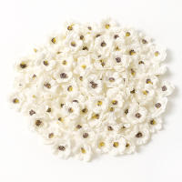 50PCs Cabezas De Rosas Artificiales Miniatura En Seda Para Decoración De Hogar Bodas Artesanía Corona Regalos Accesorios - details 7