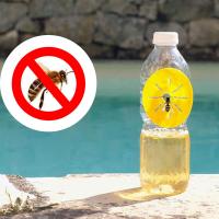 Trampa para avispas - Paquete 4 trampas para poner en botella - Master Fly - Quimunsa - details 2