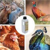 FINCA CASAREJO - Solución Natural para Prevención de Coccidios en Gallinas, Conejos y Faisanes - Resistente a Parásitos - 250ml/ 1L / 5L - details 2