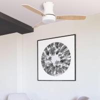 Ceiling Fan Tonsay White With Light And Remote - details 1