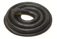 Juguete Realista De Goma 123cm Serpiente Sintética Para Simular Anaconda Para Halloween Accesorios De Piñata Y Fiestas - details 4