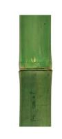 Gerimport Palo de Bambú Verde 7 x 120 cm - Decoración Natural para Interiores y Exteriores, Ideal para Proyectos Creativos, Soportes de Plantas y Arreglos Florales, Añade Estilo y Frescura a Tu Hogar - details 1