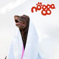 NOGGA Champú Kokum Especial Para Cachorros 250ml - Champú Para Cachorros - Champú Para Perros - Champú Cachorros 250ml. - details 4