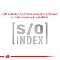 Royal Canin Pienso Anallergenic Para Gatos 4 Kg - details 6