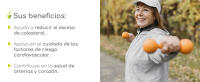 PackAhorro - Colestia Evo 120 Capsulas Novadiet - details 6