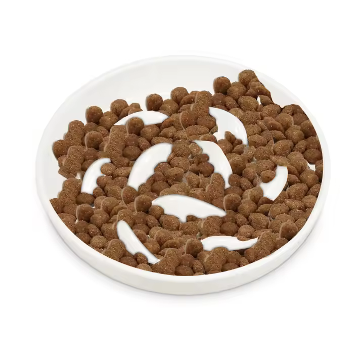 Tazón De Gato Anti-vómito De Cerámica Con Alimentador Lento Y Borde No Deslizante Para Mascotas Saludable Y Reutilizable - 1