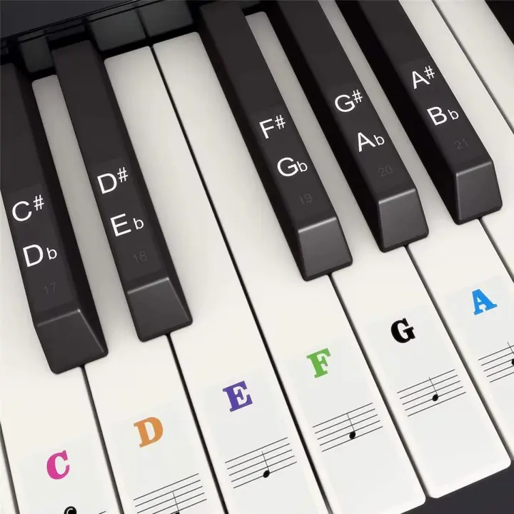 Pegatinas De Teclado De Piano Para 37 49 54 61 88 Teclas Blancas Y Negras Etiquetas Musicales Para Teclado Electrónico - 1
