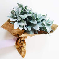 5PCS Plantas Artificiales De Orela De Conejo Decoración De Boda Y Navidad Para Vaso Hogar Scrapbooking Regalos Caja Jardín De Otoño - details 3