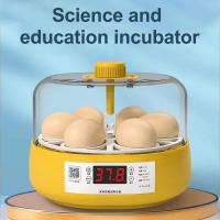 Incubador De Huevos 6/18 Con Bandeja Giratoria De 360 Grados Replicador Automático De Agua Y Control De Temperatura - details 7