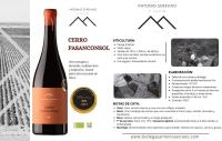 Vino de Pueblo Pasanconsol, Antonio Serrano Viticultor, caja de 6ud - envejecimiento 5 meses barrica - details 1