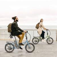 FAFREES F20 Light Bicicleta Eléctrica Plegable para Ciudad Motor de 48V 250W Velocidad Máxima de 25km/h Batería de 14.5Ah Neumático de 20*1.95'' Cambio Shimano de 7 velocidades - details 1