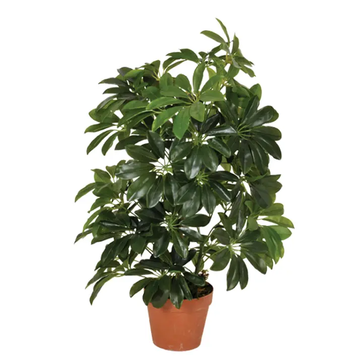 Catral | Planta Artificial Cheflera 65 Cm | Plantas Artificiales Realistas | Decoración Para Hogar Y Oficina | Planta Artificial Grande | Perfecta Para Ambientes Modernos - 1