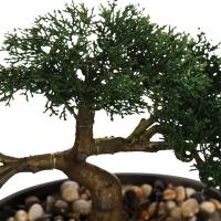 Bonsai Artificial En Maceta Atmosphera Deco Green Bonsai 32 X 16 X 23 Cm - details 1