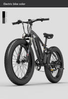 Gogobest gf600 1000W Bicicleta Eléctrica 26 pulgadas × 4,0 neumáticos Bicicleta Gorda Bicicleta de Neumático 48V 13ah - details 16