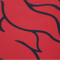 Bandeera De Escocia Con León Real 90x150 CM FLAGLINK Para Decoración Material Poliéster Estilo Impreso Y Colgante - details 2