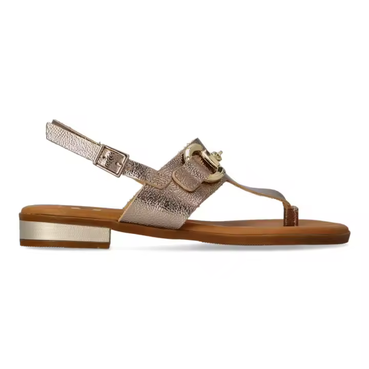 Vanessa Calzados Sandalia Mujer Metalizada Hebilla - 1