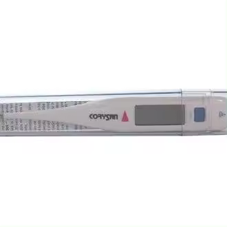 Corysan Termómetro Clínico Digital 1Ud - 1