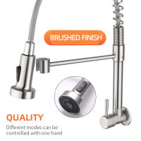 Baokemo-grifo de acero inoxidable montado en la pared para cocina, rociador extraíble con resorte, giratorio en frío, para lavabo de verduras - details 1