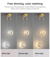 Lámpara Colgante Nórdica LED Para Iluminación Interior De Dormitorio Y Sala De Estar Decoración De Hogar Lámpara Colgante Para Mesa De Comedor - details 3