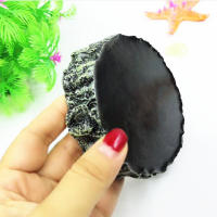 Tazón De Alimentación Para Reptiles Y Tortugas De Resina 10cm Olla De Alimentos Y Agua Para Acuarios Suministros Para Lagartos Y Scorpiones - details 6