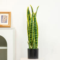 Plantas Artificiales Sansevieria 32/37cm Para Decoración De Jardín Y Hogar Plástico Bonsái DIY Falso Verde Para Interior Y Exterior - details 9