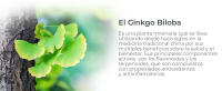 Soria Natural Extracto de Ginkgo Biloba 50ml - Mejora la Circulación - Multivitaminas - details 5