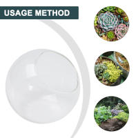 Micro Paisaje Vaso De Vidrio Transparente Para Plantas Succulentas Terrario Colgante Contenedor Hidroponía Maceta De Flores Decoración Para El Hogar Estilo Moderno - details 9