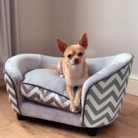 Pawhut Sofá para Mascotas Sofá Acolchado para Perros y Gatos de Madera con Cojín Grueso Patas y Bolsillo de Almacenaje 68,5x40,5x40,5 cm Gris - details 1