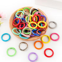 5Pcs/Lot Anillo Metálico 25mm Con Abrazadera De Resorte Clip Para Cadena De Perros Accesorios Para Joyería DIY Hebilla De Llavero Con Gancho Abrepuertas - details 1
