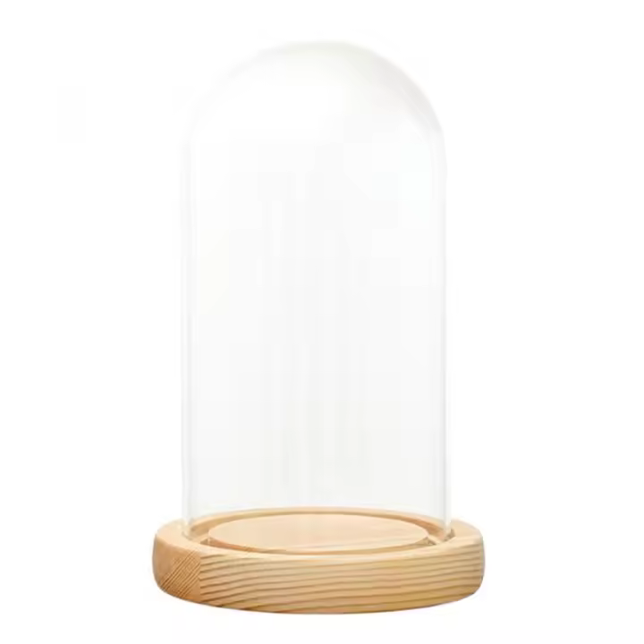 Vaso De Landscape Con Domed De Vidrio Transparente Y Base De Madera LED Soporte Para Microlandscape DIY Decorativo Para Flores Y Plantas - 1