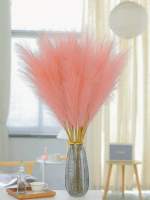 10pcs De Pampas Artificiales 55cm/21.65 Pulgadas Altas Rejas De Terciopelo Falso Grama Para Relleno De Vaso De Piso Decoración De Hogar - details 14