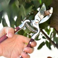 Tijeras De Podar De Jardín Con Mango De Madera De 8 Pulgadas Para Cortar Ramas De Árboles Y Frutas Herramienta De Poda Para El Hogar - details 4
