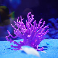 Decoraciones Artificiales Para Acuario Coralline Plantas De PVC Para Decoración De Tanque De Peces Jardín Acuático - details 4