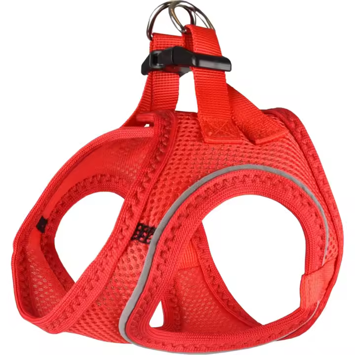 Arness Bento Rojo S 37-40cm - 1