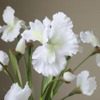 Rama De Iris Artificial Con 3 Cabezas Flores Silken Para Decoración De Mesa De Fiesta Decoración De Hogar Para Bodas Y Aniversarios - details 3