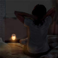 Lámpara Nocturna LED ZEYEILY Con Sensor De Luz Para Pasillo Dormitorio Garage Corredor Cocina Enchufe EU/US Incluido - details 10