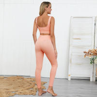 Leggings Deportivas Sin Costuras Para Mujer High Waist Yoga Pantalones De Gimnasio Fitness Squatproof Tallas Verdaderas Ropa De Gimnasio - details 6