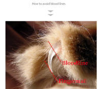 Tijeras De Uñas Para Gatos Y Perros Resistente Al Agua Herramienta De Aseo Para Mascotas Corte Preciso Para Uñas Y Pata Trimmer De Animales - details 5
