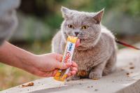 INABA Churu - Snacks Saludables para Gatos a Base de Pollo - Textura Cremosa - Sin Cereales ni Conservantes - 20/40/60 x14g - details 0