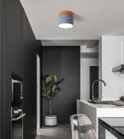 Lámpara De Techo Sólida De Madera Para Entrada Baño Cocina Sala De Estar Iluminación LED Superficie Montada Moderna - details 13